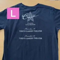 B'z　HINOTORI スタッフTシャツ　XL B'z HINOTORI スタッフTシャツ XL B'z LIVE-GYM Pleasure 2018