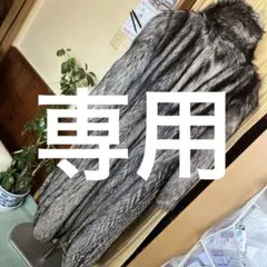 シルバーFOX ＳＡＧＡ