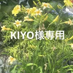 4冊セット