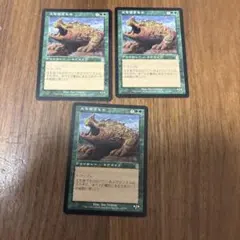 MTG 食物連鎖 英語版1枚 日本語版2枚の3枚セット - メルカリ