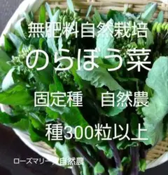 ashaji様 リクエスト 3点 まとめ商品