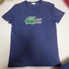 LACOSTE ネイビー スリムフィット Tシャツ US Mのサムネイル
