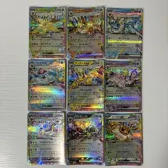 RR イーブイ ブラッキー ニンフィア エーフィ グレイシア シャワーズ ブイズ