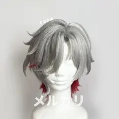 原神 イルーガ コスプレ セット済み ウィッグ - メルカリ