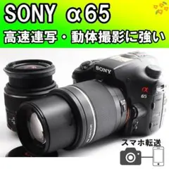2026年最新】α65 レンズの人気アイテム - メルカリ