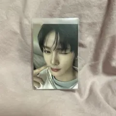 ALD1 BRINGGREEN アルノ トレカ - メルカリ