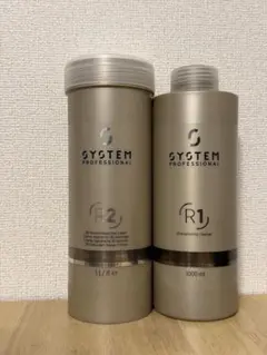 2025年最新】SYSTEM PROFESSIONAL シャンプーの人気アイテム