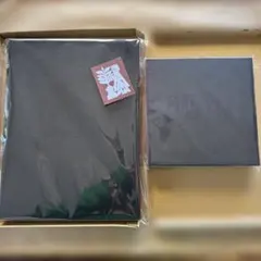 Item thumbnail for item 22ffa424-ea68-49e2-8a11-0e309be937c1