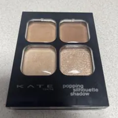 ケイト　ポッピングシルエットシャドウBE-1