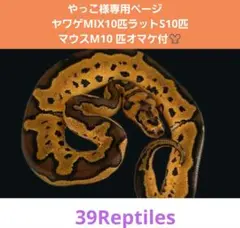 77632778_1