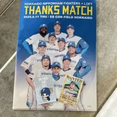 日本ハムファイターズ THANKS MATCH 手配書＆クリアファイル✨️田中正義