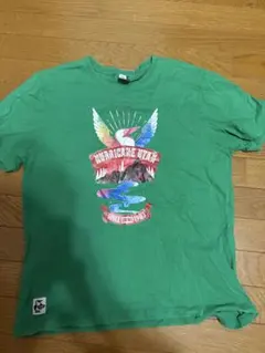 CHUMS グリーンTシャツ L