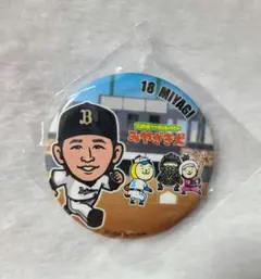 Item thumbnail for item ed618ebd-102b-486d-b63a-ee6329068d6d