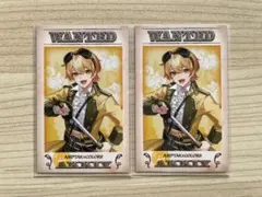 Item thumbnail for item 78a6dc8e-8c95-4eed-a166-b0b1a9046f93