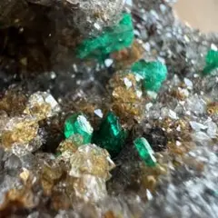 ダイオプテーズ 水晶 A1 共生 鉱物 標本 原石 Amazon.co.jp: ダイオプテーズ 水晶 A1 共生 鉱物 標本 原石