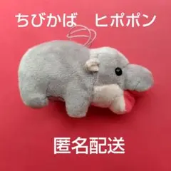 ちびかば　ヒポポン　VMC コビトカバのぬいぐるみ