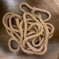 Item thumbnail for item 12bf3411-b2de-4553-acc5-093e412c7d7c