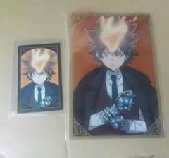 家庭教師ヒットマンREBORN!　ツナ　タワレコ