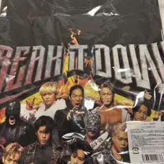 BREAK IT DOWN TシャツMサイズ