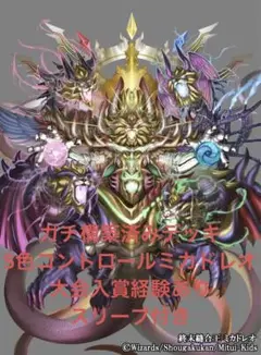 ガチ構築済み5色コントロールミカドレオ（大会入賞）