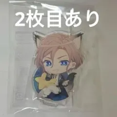 家庭教師ヒットマンREBORN! リボーン 沢田綱吉 ナンジャアクリル
