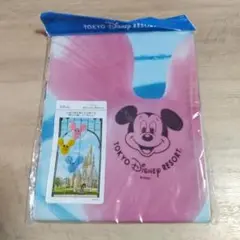 TOKYO DISNEY RESORT のれん ミッキー
