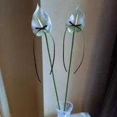 ホワイト　アンスリウム　リングピロー　ブラックリボン　結婚式　ウェルカムスペース