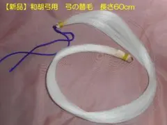 Item thumbnail for item 22a95b04-c31f-49f3-90e1-c308f91e2d22