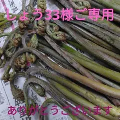 しょう33様ご専用　秋田県産天然黒蕨　わらび