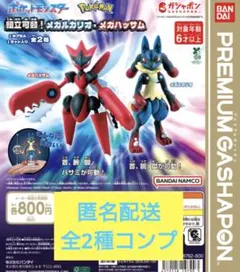 ポケットモンスター 組立可動！メガルカリオ・メガハッサム コンプ セット