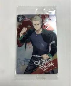 WIND BREAKER ウエハース 柊登馬