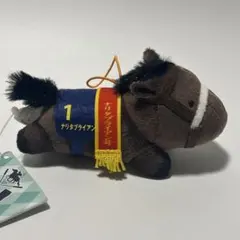 2026年最新】サラブレッドコレクション ナリタブライアンの人気