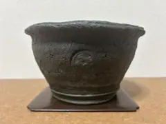 十王堂　松泉造　盆栽鉢　小品盆栽　山野草 2026年最新】十王堂の人気アイテム - メルカリ