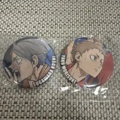 2026年最新】ハイキュー菅原 缶バッジの人気アイテム - メルカリ
