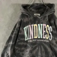 HOLLISTER パーカー　総柄　タイダイ染め　ビッグロゴ　カラフル　IW5