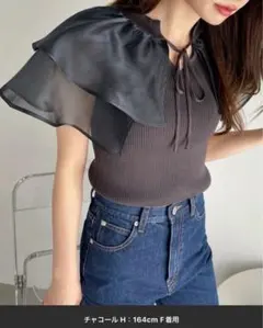 【新品】Ada. オーガンジーケープフリルドッキングニット　フリーサイズ