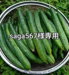 saga567様専用のサムネイル