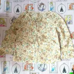 Item thumbnail for item 4bf60335-0730-439c-a7c6-c9df81568781