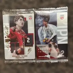 小野寺太志 男子バレーボール日本代表 ツインウエハースカード