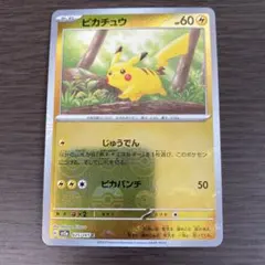 おかいものピカチュウ：期間中ポケモンセンターでお買い物した人に