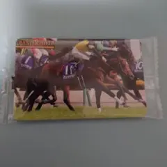 まねき馬　2655　パンジャタワー　松山弘平
