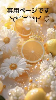 専用ページです