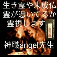 りりー様専用陰陽師霊視　先生が今日配達　全て鑑定　守るお守りつき