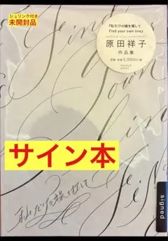 石野真子デビュー当初直筆サイン&レコード&ポートレート - メルカリ