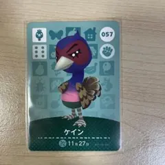 あつ森　amiibo　ケイン