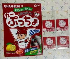 4種 カーぷっちょ 広島東洋カープ 選手シール 森下 床田 菊池 末包 2026のサムネイル