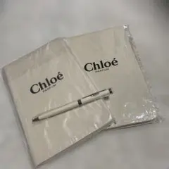 Item thumbnail for item bfe72cf6-0340-45aa-872f-14d4875e7cef