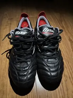 MORELIA NEO IV
