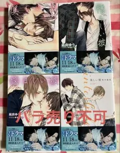 美しい彼　4巻セット（バラ売り不可）