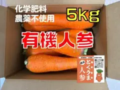 【お買い得・訳あり】とくうま有機人参5kg 農薬・化学肥料不使用 人参ジュース用のサムネイル